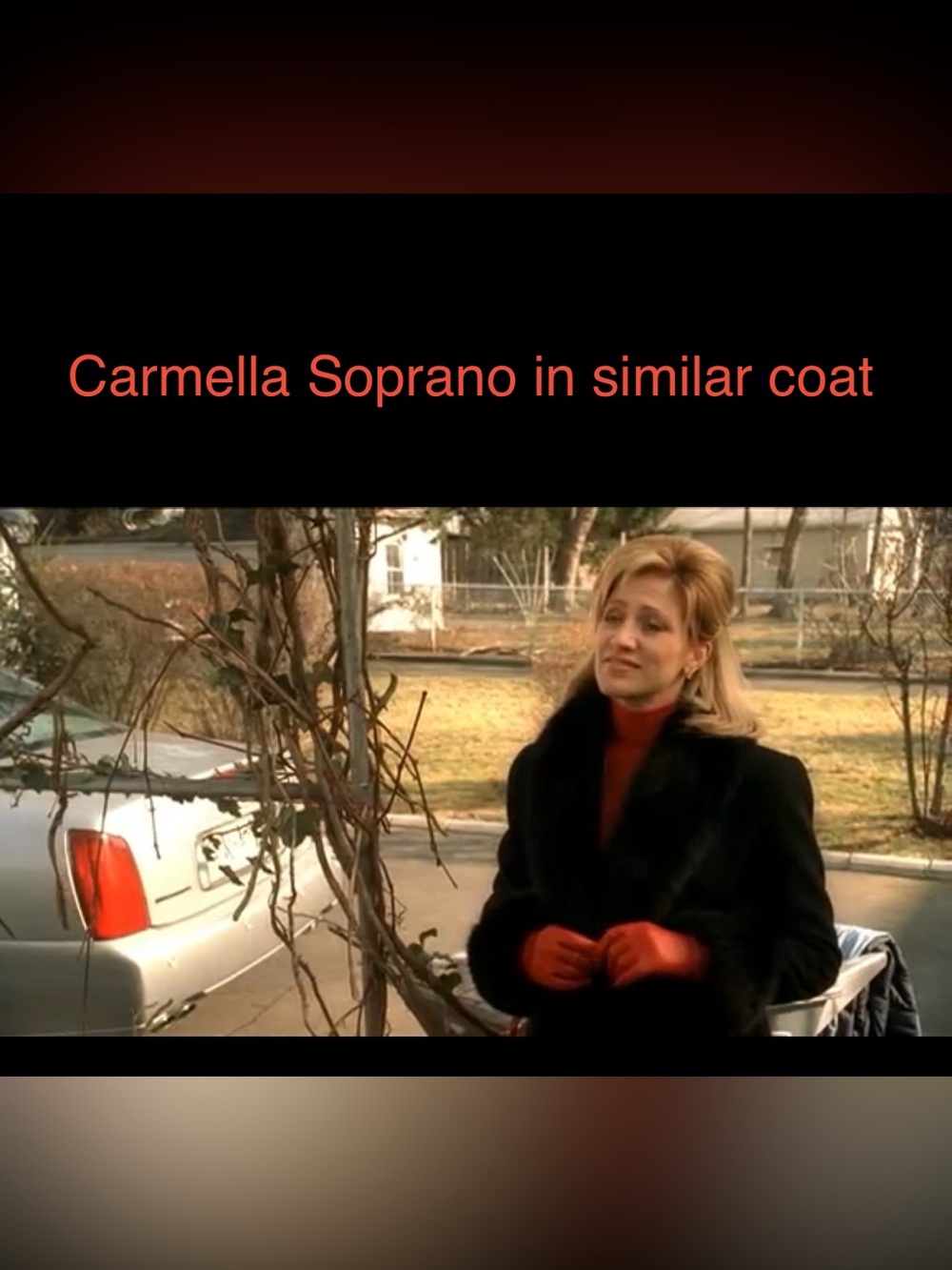 Black Wool Coat with Brown Fur Trim, Steve by Searle 2P - Picture 4 of 13